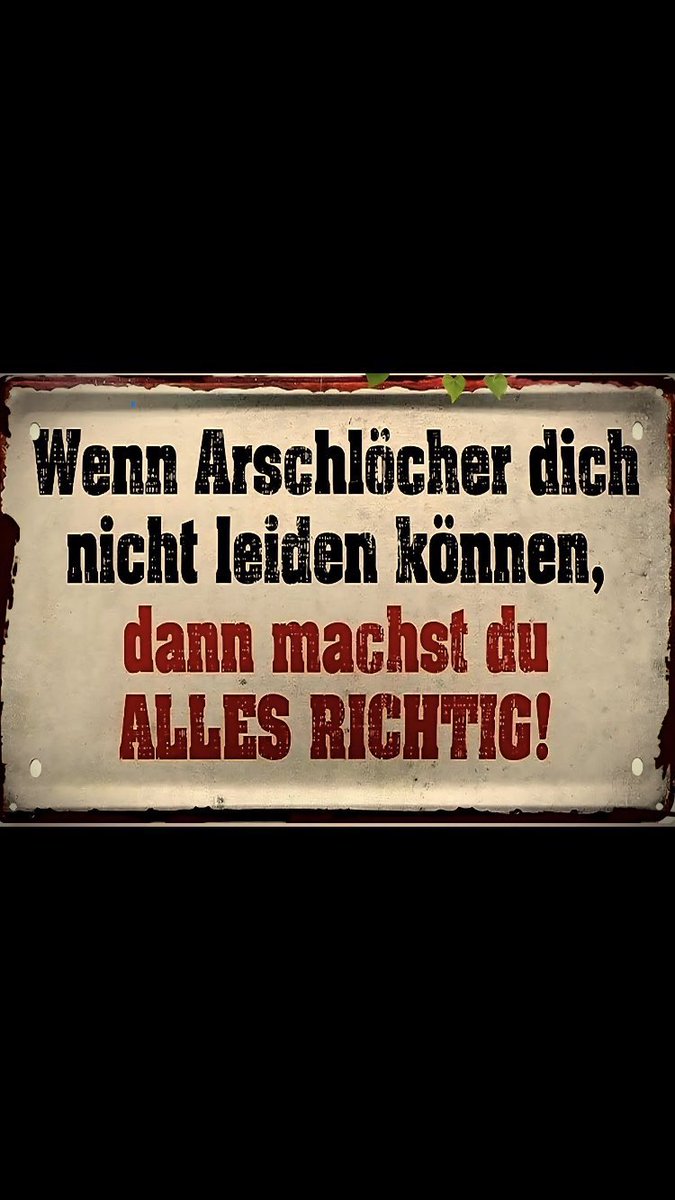 Das Waschbärchen 🦝‼️‼️ tweet media