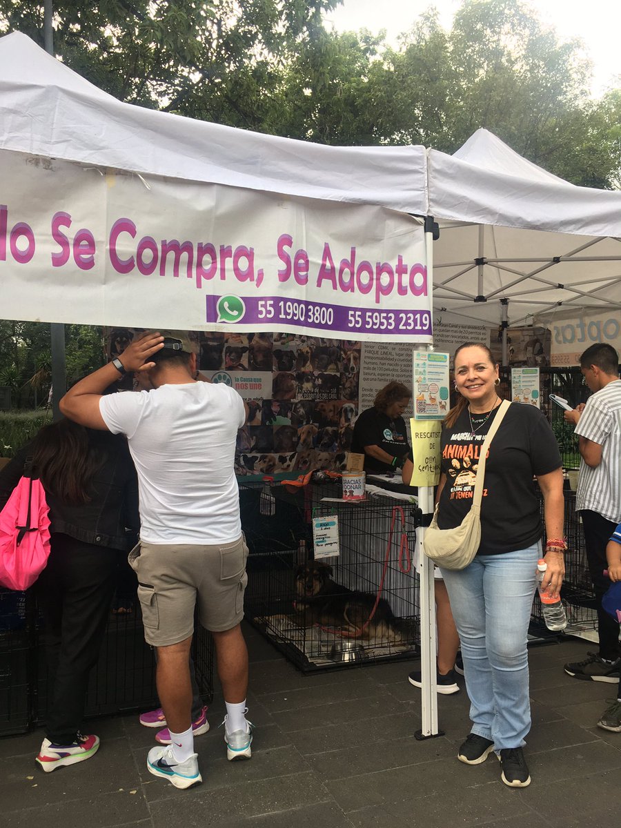 1. 🐶🐱PERRITOS/GATITOS EN ADOPCIÓN 
Rescatistas tienen catálogo de animales en adopción y traen a algunos para que los conozcan y se animen a hacerlos parte de sus familias.
Hay que llenar solicitud y tener disposición de cumplir con protocolo y seguimiento.