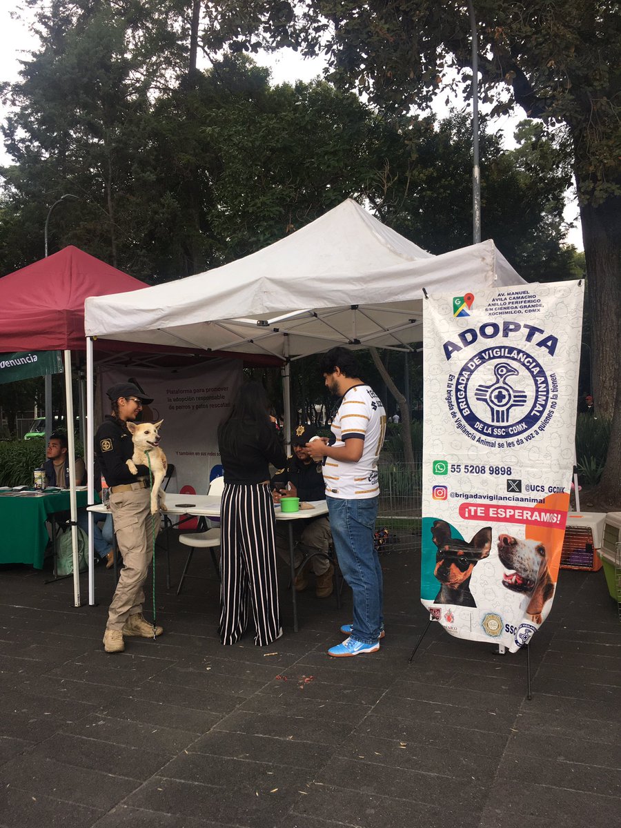 2. Los oficiales Castro y Godoy, de #BrigadaVigilanciaAnimal de <a href="/SSC_CDMX/">SSC CDMX</a> ayer dieron 4 perritos en adopción inmediata, como el que adoptaron Fanny y sus hijxs. ¡Felicidades!

Además, visiten las instalaciones de la Brigada en Cuemanco, donde tienen 365 perros/gatos en adopción.