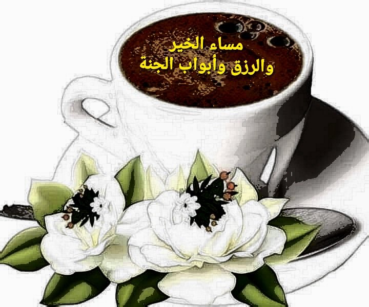 <a href="/rachidamohamed0/">rachida</a> طالما أنتم من الداخل كالورد فكل ما يصدر منكم يكون معطـــراً 
مساء الخير والرزق وأبواب الجنة