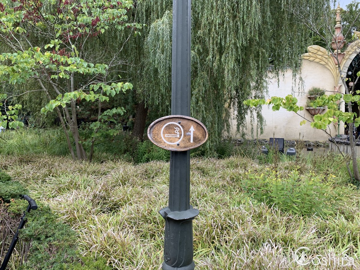 Coshira_'s tweet photo. Dit rookzone bordje bij Droomvlucht is nog niet vervangen door de nieuwe variant.

#Efteling #Droomvlucht #Rookzone https://t.co/Xd8Ov61gAG
