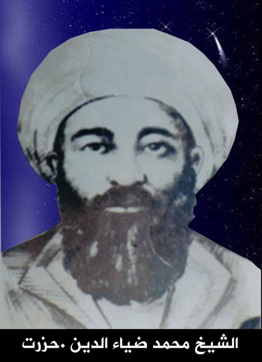 Güneşin herkese apaçık zahir olduğu gibi, dünyanın kötülüğü de malumdur. Eğer dünyanın bir değeri olsaydı, insan ve cinlerin Resûlü, (Ona, aline salat ü selam olsun!) ona iltifat eder, onun için bir şey hazırlayacaktı.

Hazret Şeyh Muhammed Diyauddin hz. (k.s.a)