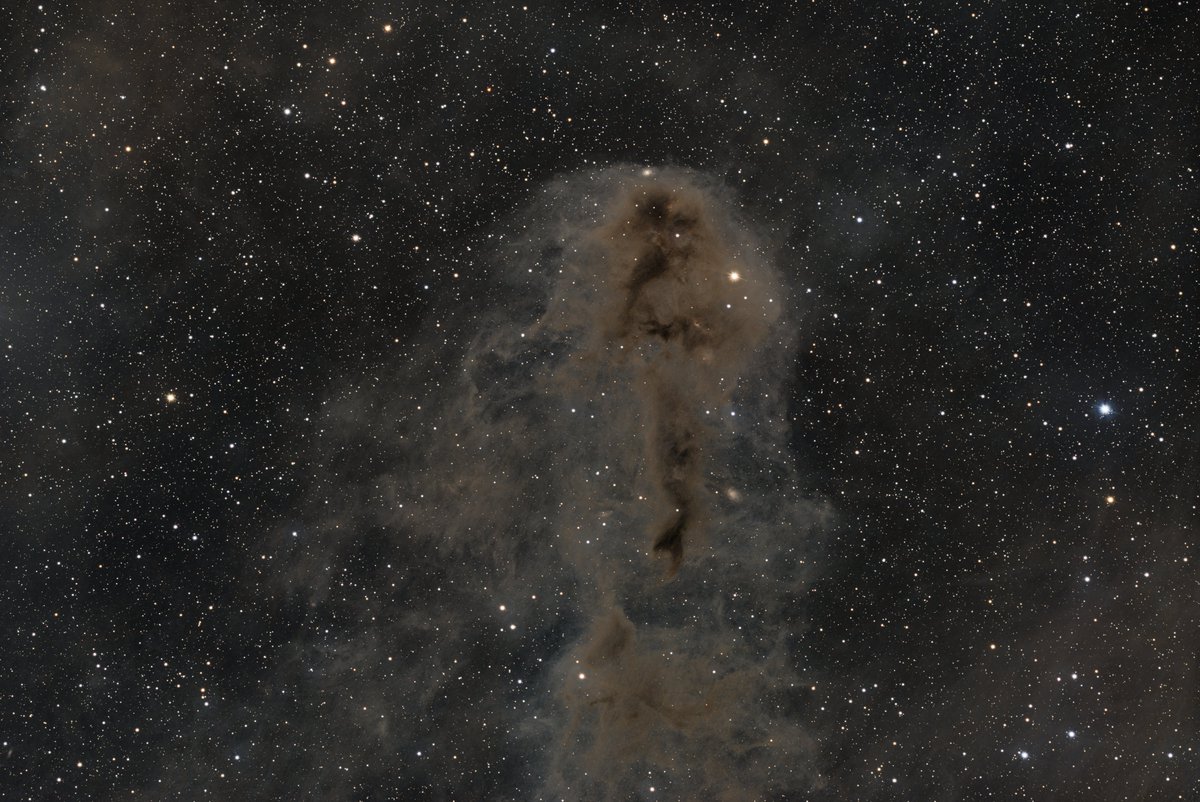 Bernd Flachsbart tweet media