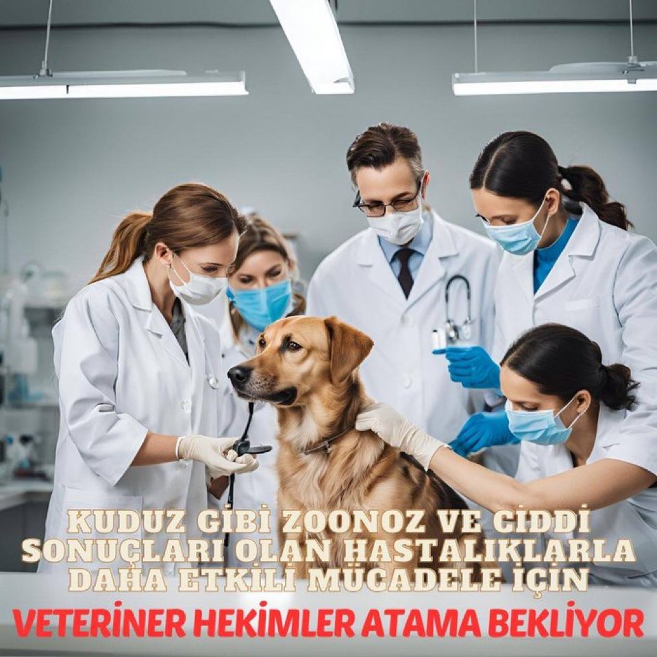 #VeterinerHekimlerAtamaBekliyor