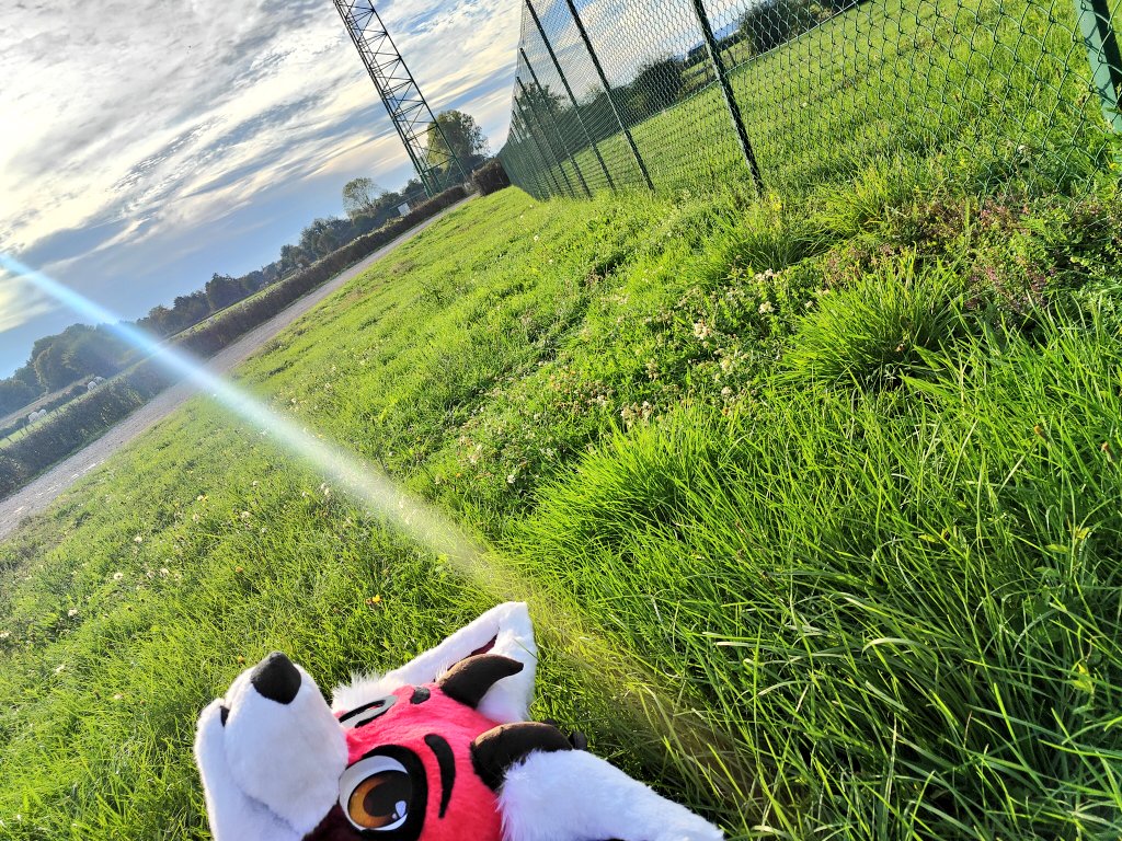Fluffy Tail (@thatfrenchpanda) on Twitter photo 2h30 de live IRL en campagne, c'était ma première fois que je fursuitais hors conventions, une 20aine de personnes rencontrées qui ont toutes été positives avec le costume (on à même pris des photos), 4,59km de marchés (on s'est bcp posé) c'est une belle expérience à refaire 🥰 2h30 de live IRL en campagne, c'était ma première fois que je fursuitais hors conventions, une 20aine de personnes rencontrées qui ont toutes été positives avec le costume (on à même pris des photos), 4,59km de marchés (on s'est bcp posé) c'est une belle expérience à refaire 🥰
