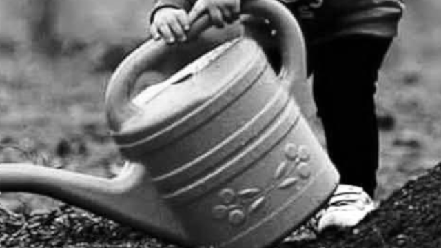 حرف 𝕏 ومعنى tweet media