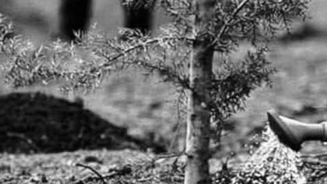 حرف 𝕏 ومعنى tweet media