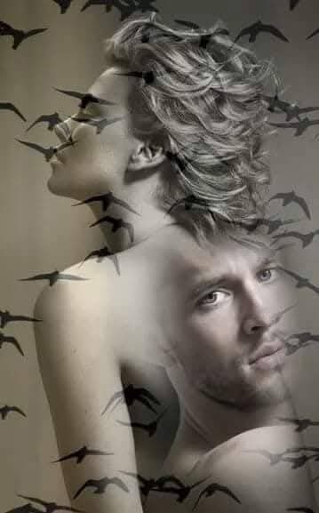 RichardFloriane's tweet photo. Seras tu un jour..
                 une nuit..
... Mon étoile brillante..
Dans mon cœur tu es ainsi..
Sa brille de mille feu..
Dans mon cerveau de mille étoile..
Destiné a toi..
A Toi.. ❣️ 
Mon Étoile.. ✨️
Rose 🌹 https://t.co/CwUHsTrBGW