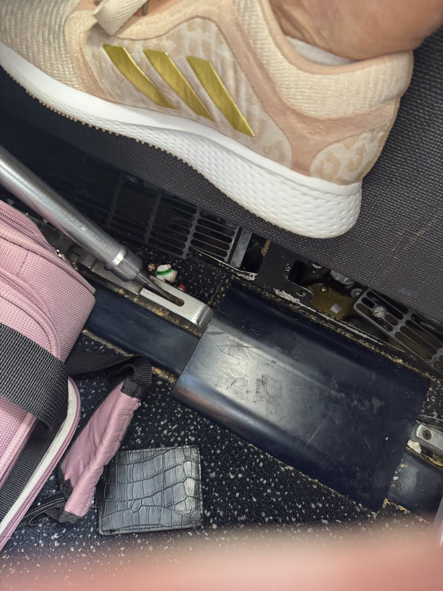 Tara Peplowski tweet media