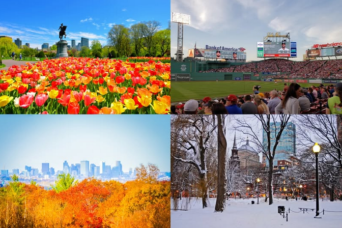 What's your favorite: Spring, Summer, Fall, or Winter?