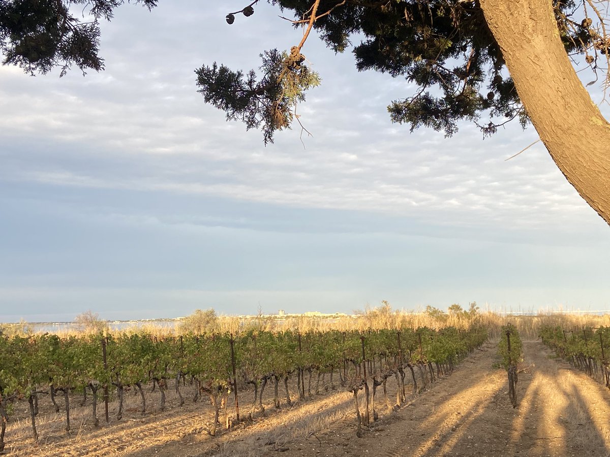 Gomgauth's tweet image. Superbe concert de @yanngolgevit ce soir à Villeneuve les Maguelonne ! Merci pour toute votre générosité!