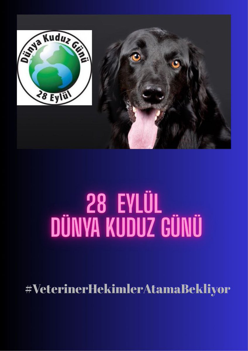 Sokak hayvanlarının aşılanması toplum sağlığı için hayati önemdedir.
Veteriner hekimlere verilen destek, kuduzsuz bir dünya için en güçlü adımdır.

#VeterinerHekimlerAtamaBekliyor 

<a href="/ibrahimyumakli/">İbrahim Yumaklı</a> <a href="/AhmetGumen/">Ahmet GÜMEN</a> <a href="/TR_HAYGEM/">Hayvancılık Genel Müdürlüğü</a> <a href="/Seyfullahaslntk/">Seyfullah Arslantürk</a> <a href="/ttosgm/">TÜRK TARIM ORMAN SEN</a> <a href="/TocBirSenGM/">TOÇ BİR-SEN</a> <a href="/merkezkonseyi/">Türk Veteriner Hekimleri Birliği</a>