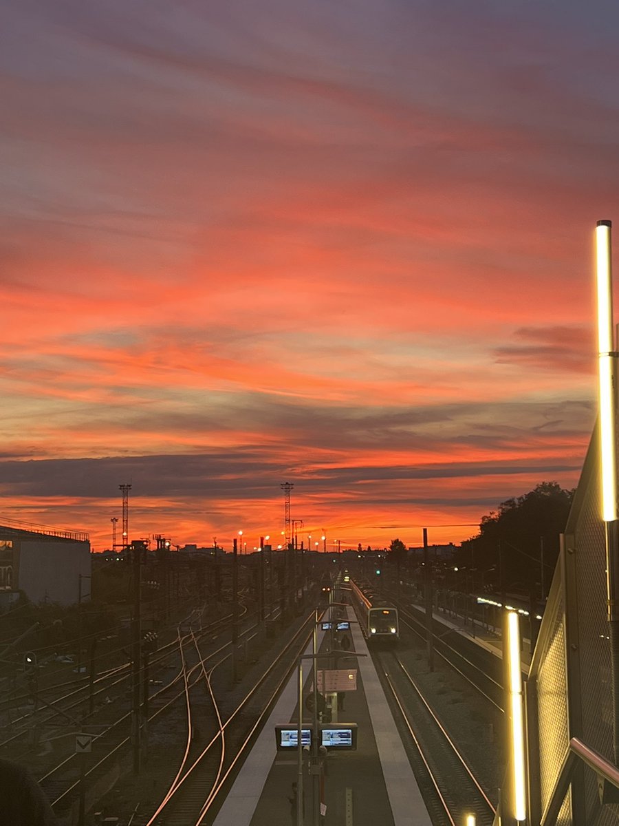 Z🇫🇷🇩🇿 tweet media