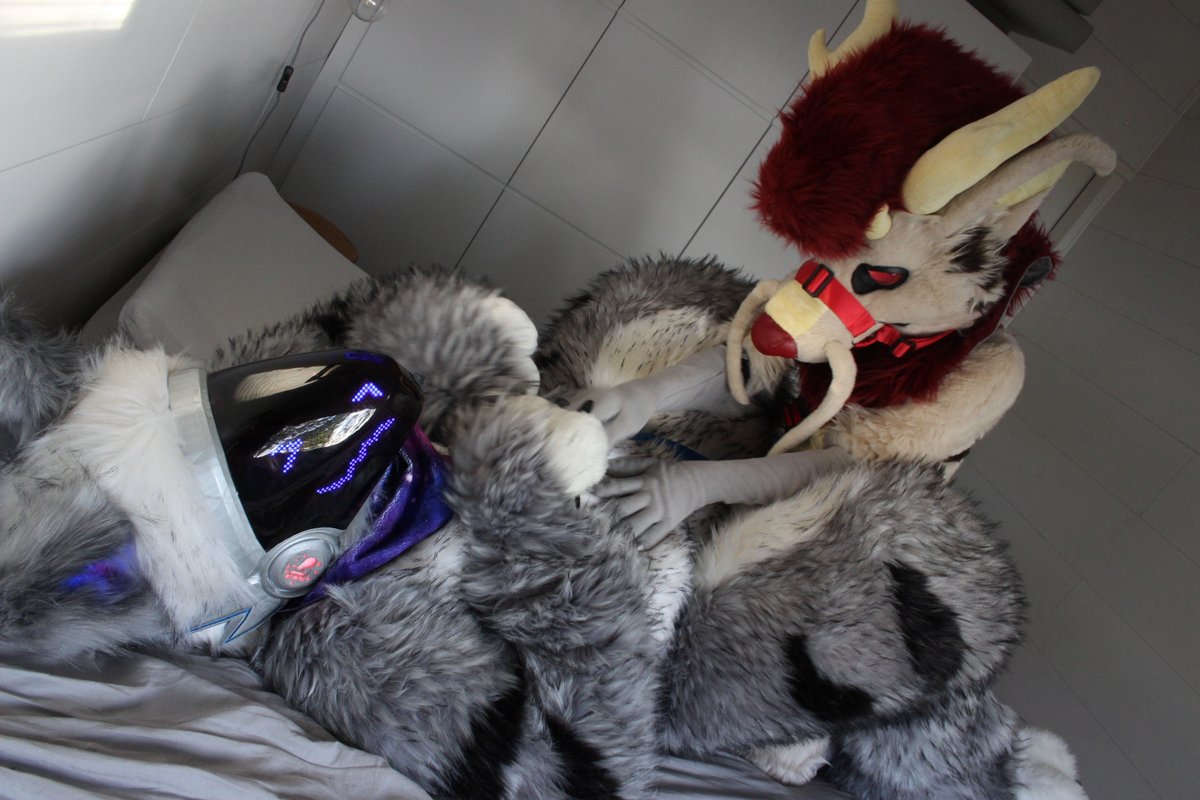 Belly rubs, you say? Of course I will give you some :3