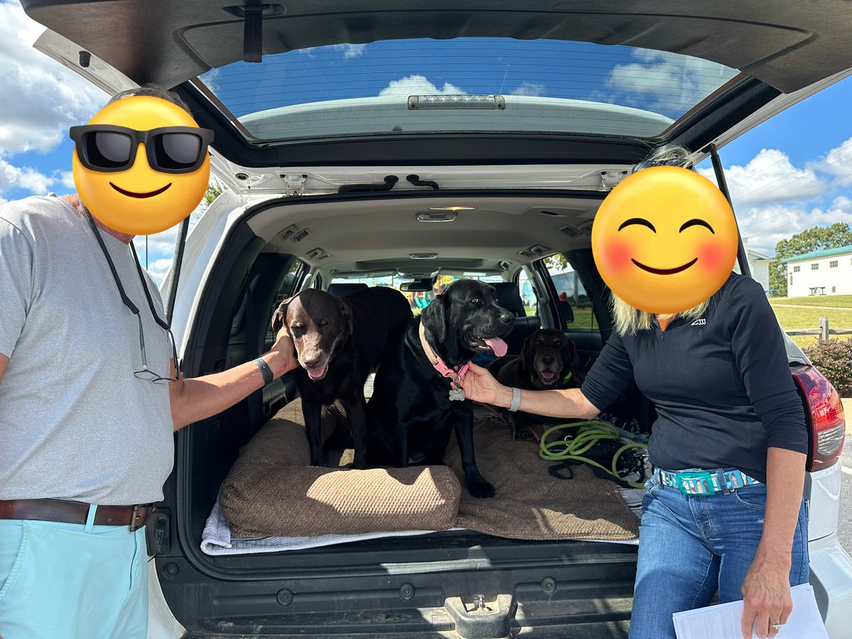 Penny_Lane_Pup's tweet image. Big News!!!! 

Peach Fuzz was officially adopted dis afternoon! Go live your best life sweet baby girl!!!!!

She has two new lab siblings!
#peachfuzz #adopted