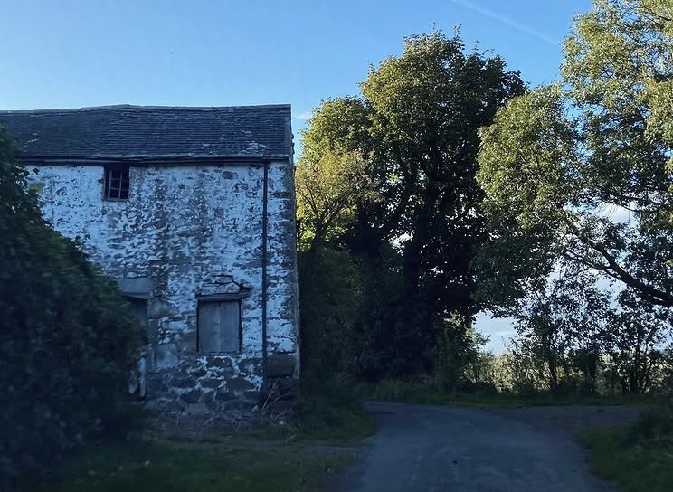 such a nice September evening for a walk by the fellside wall