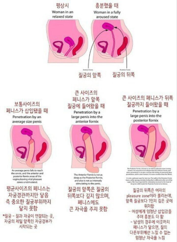 20cm하디 (@18cmhardy_1) on Twitter photo 