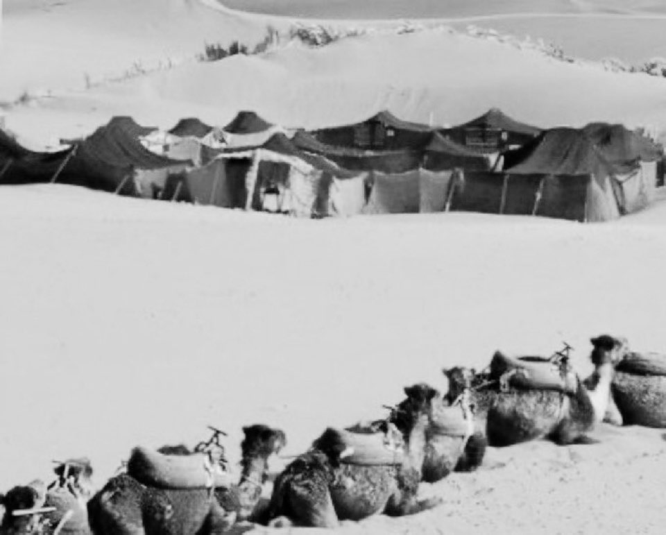 ٓ

وطني حيث أناخـت عـيسكم
ومقامي حيثما اخترتم مقاما

▪️ أبو البدر شرف الدين .

.

ٓ