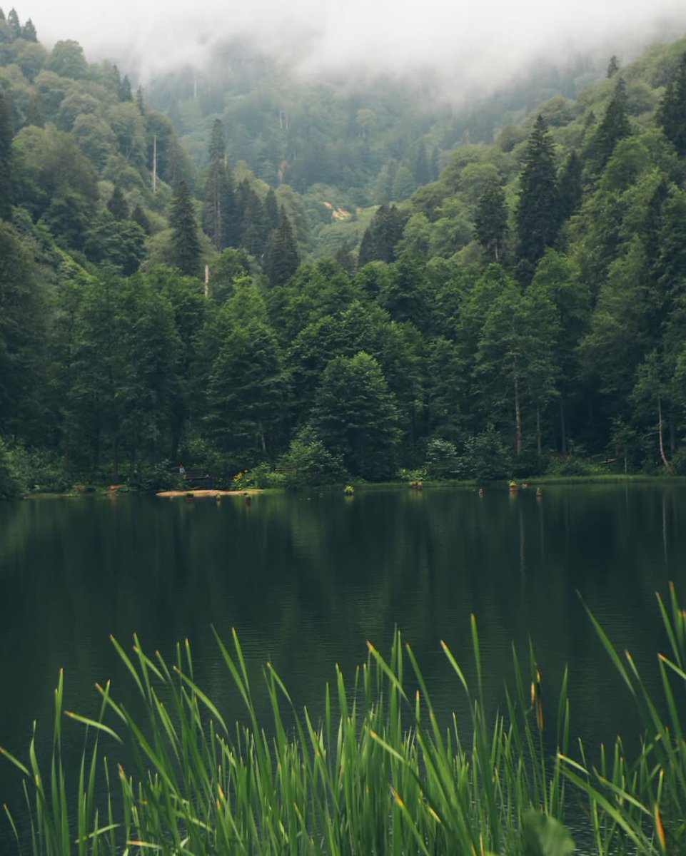 gitmeliyiz's tweet image. Artvin, Borçka Karagöl’e gitmeliyiz.