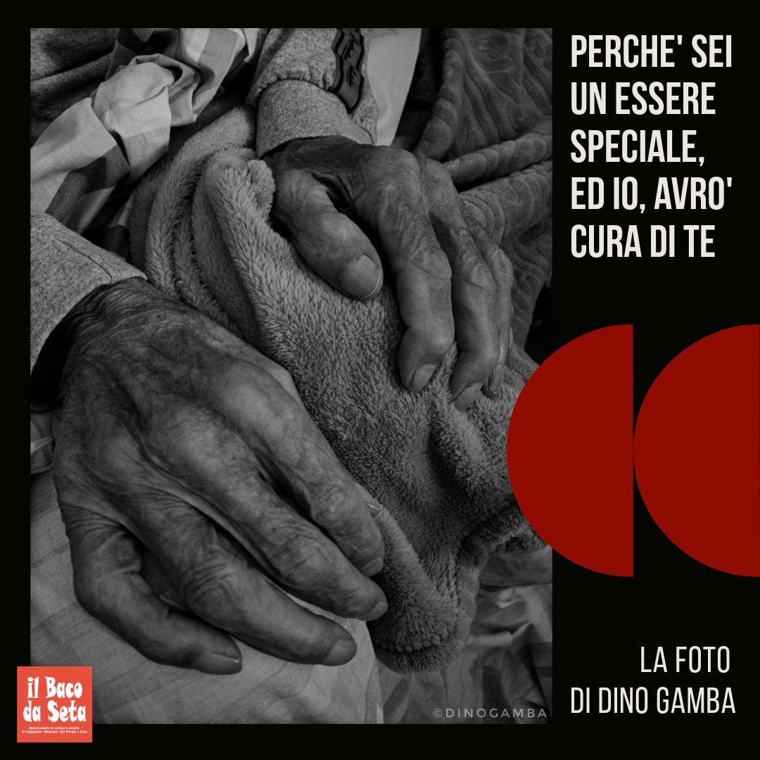 La foto della settimana, di Dino Gamba