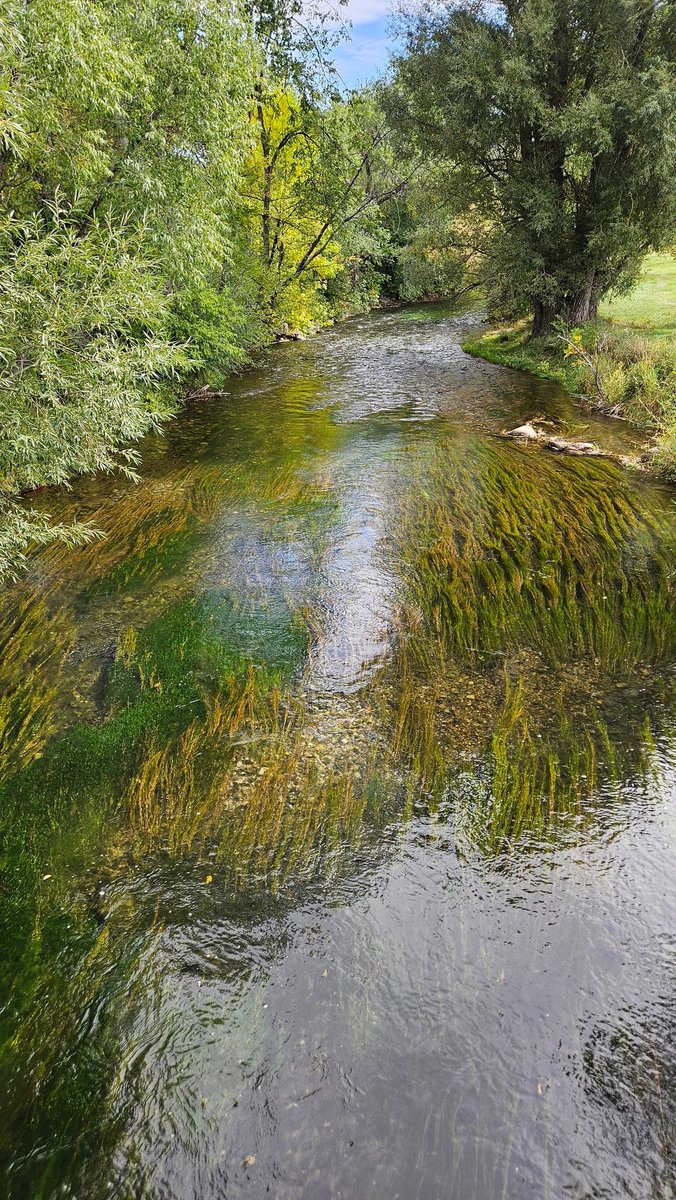 Beautiful walk this morning in Rapid City