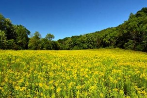 Sunday “Peace” of #CVNP: Bernard Williams wrote: “September tries its best to have us forget summer.” Who among our followers loves September? Photo: NPS/Robert George.