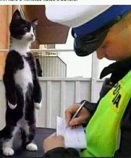 Traffic officer: why were you overspeeding ?

Me: I thought u don't work on Sundays