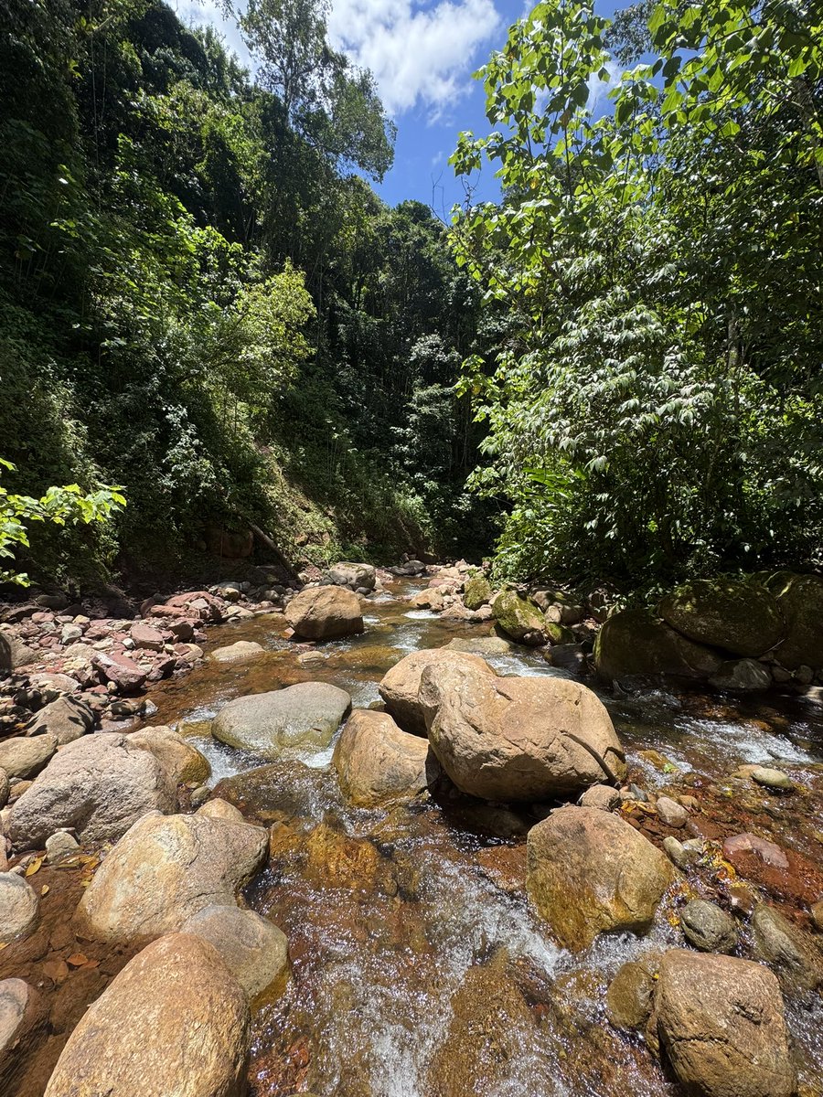 oscarantone's tweet image. Terapia para los domingos de bajón