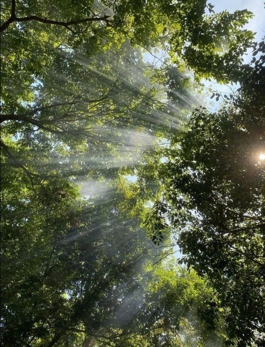 ستخرج من جوفك الشمس/ كما لو انك الشروق