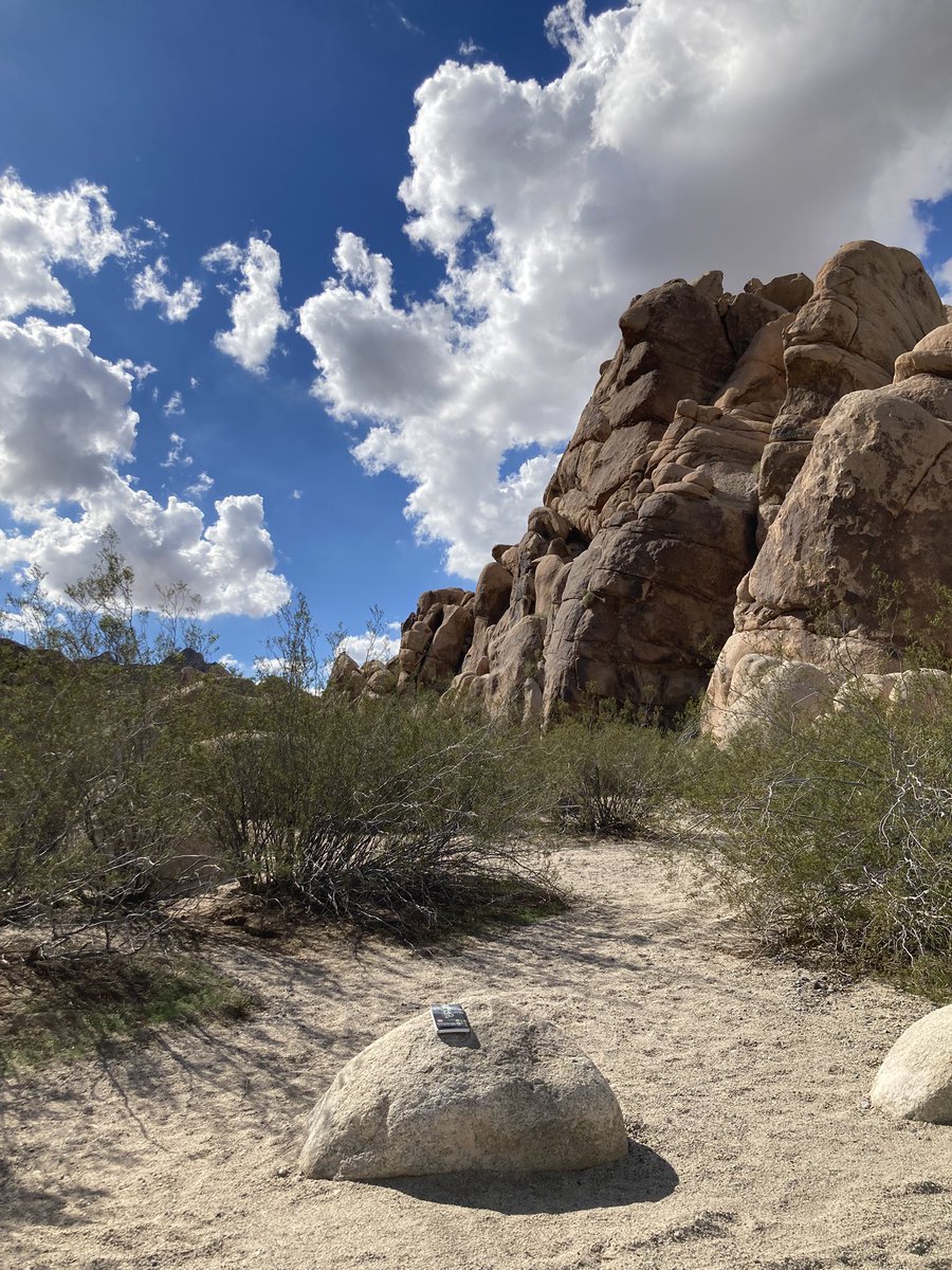 ロサンゼルスに持って行く本何にしようかな📖制作中は他の世界入れられないから本読めなくて，やっと読める✨と選んだ本。キャリーバッグ30キロ制限でお土産の日本酒は置いて行ったけど持って行った本📖火星と呼ばれるジョシュアツリーと真反対な，好きだなぁこの本の世界とあらためて，暑い中頁捲り📖