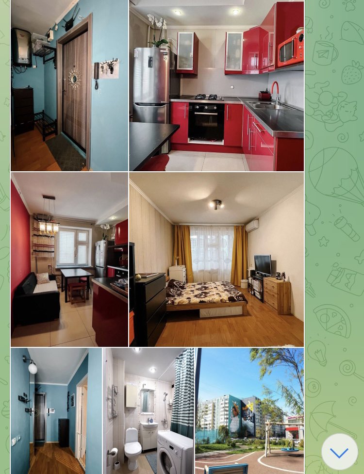 dozorkazan's tweet image. Казань, друзья сдают квартиру, pets friendly, за контактом в дм ✌️