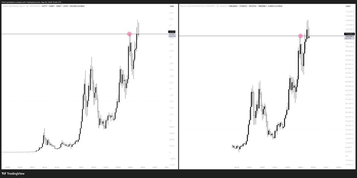 TheCryptoNative 🍍 tweet media