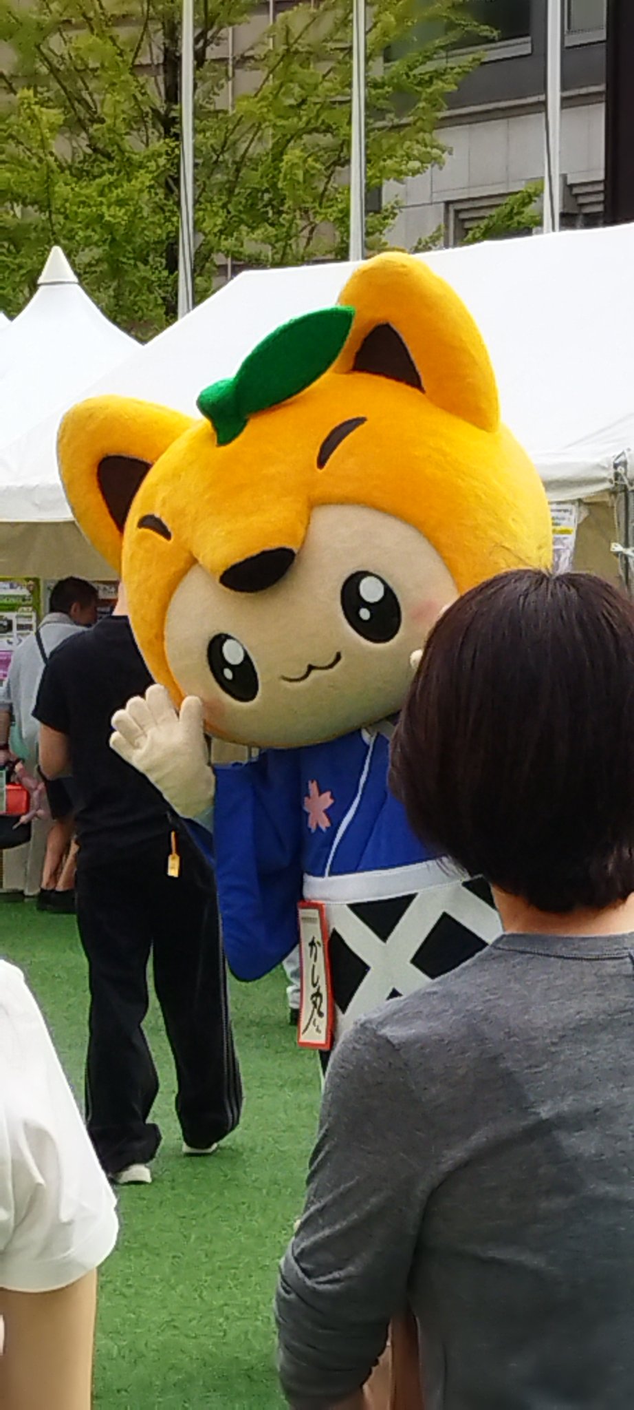 みっちゃん on X: 