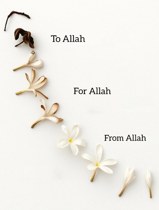 From Allah, For Allah, To Allah