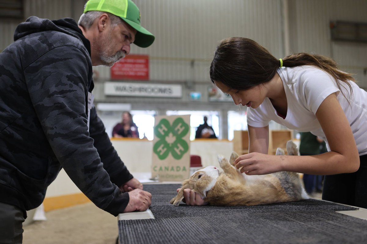 Markham Fair tweet media