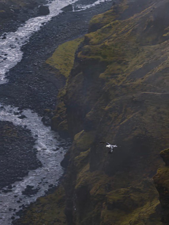 Still can’t get over the zoom range of the iPhone 17 Pro 📳