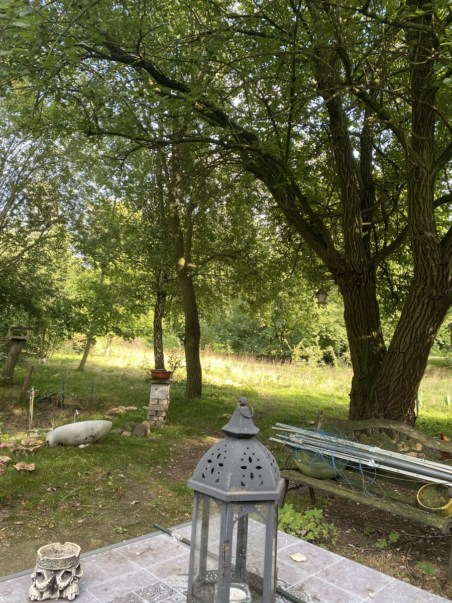 Sitze im Garten und genieße meine Oase, Eich allen einen schönen Sonntag Nachmittag!