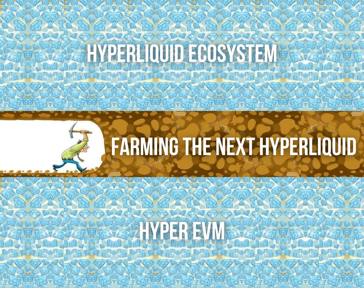 stop searching for the next hyperliquid

there will be no next hyperliquid

just buy hyperliquid