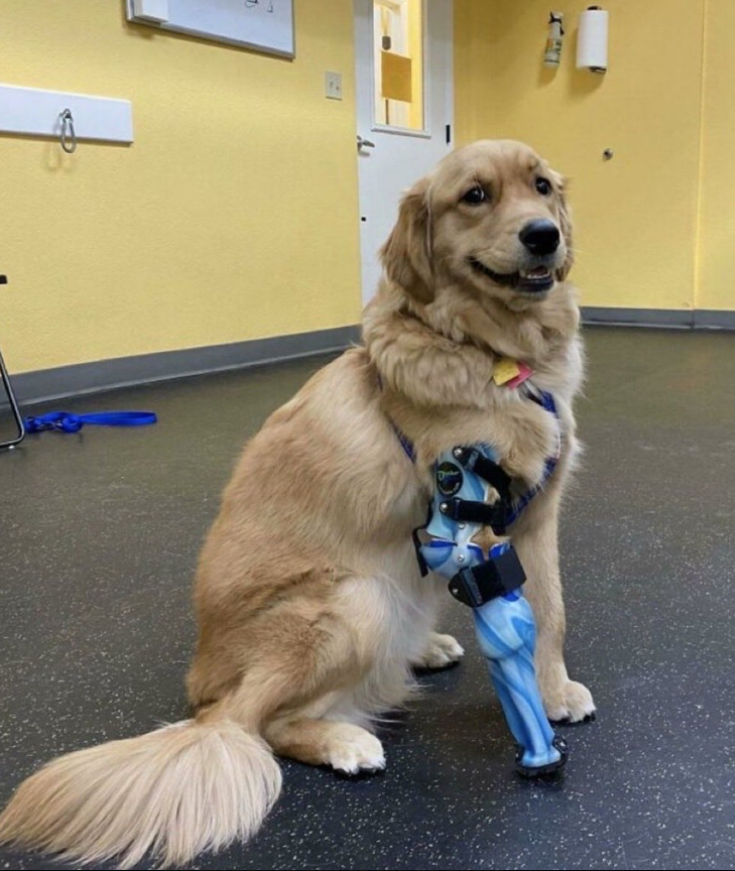 Please don’t pass without leaving a heart ❤️