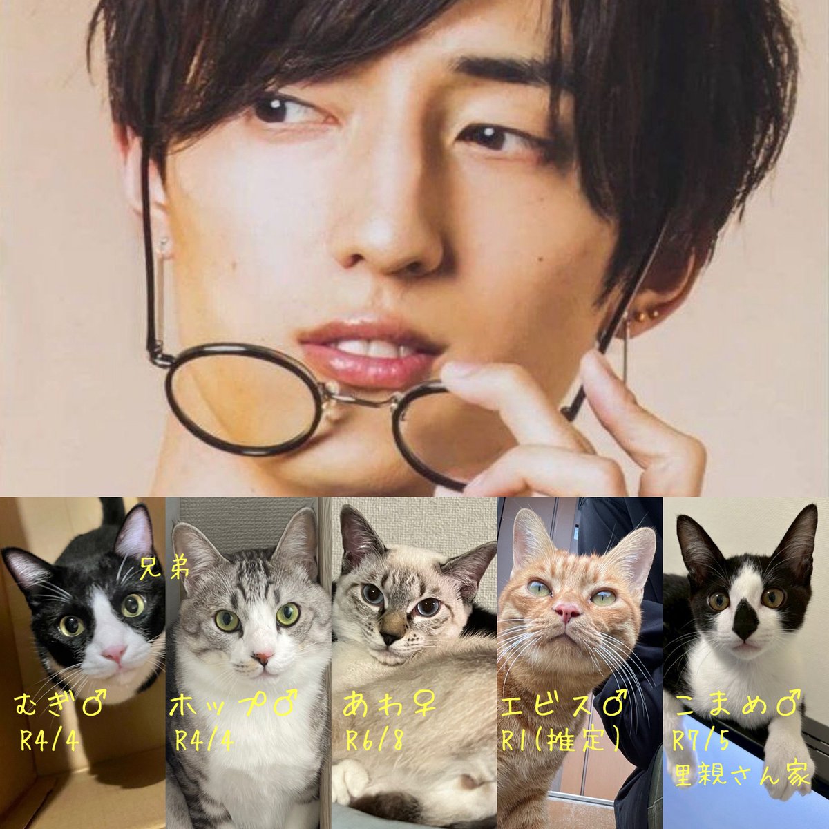ヘッダー画像作り替えた！
猫全員横並びにするために無駄に推しの画像を入れる自己満