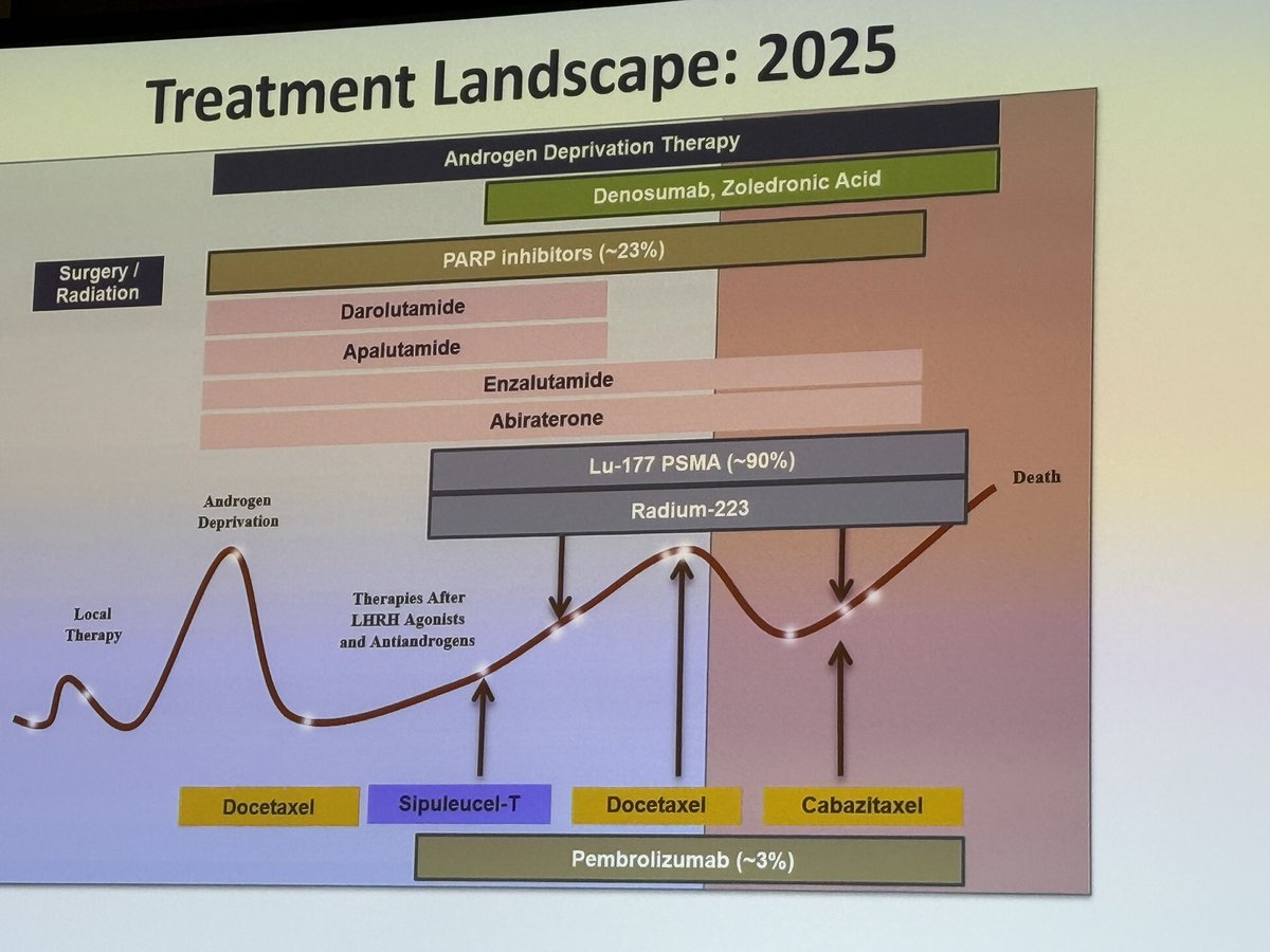 Stella Lymberis, MD tweet media