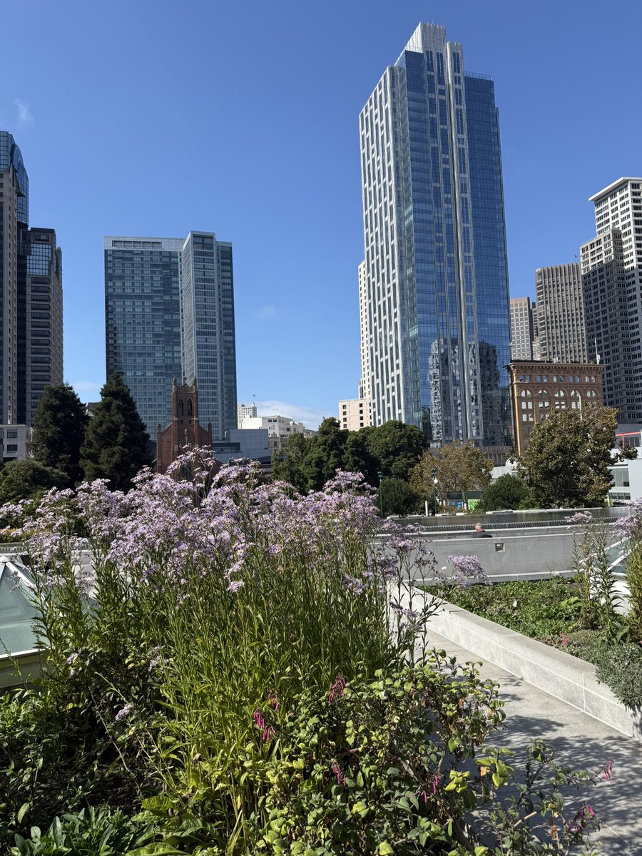 Stella Lymberis, MD tweet media