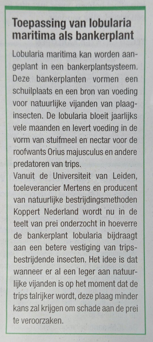 Landbouw ís 'gewoon' een innovatieve sector!
👇
Een roofwants die tabakstrips lust; op een proefveld met prei bekijken onderzoekers nu of de wants een alternatief is voor chemische bestrijding.
👇
Voor u gelezen <a href="/nieuweoogstnl/">Nieuwe Oogst</a>
👇