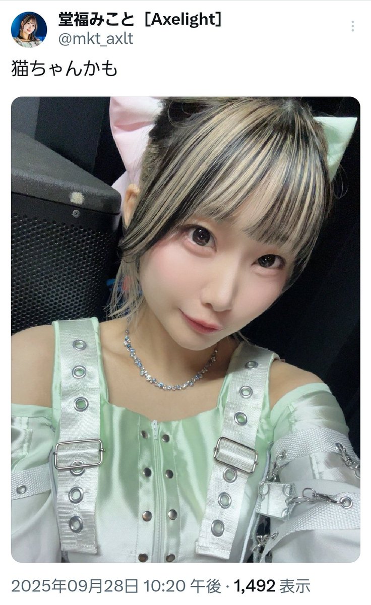 やすぽん様 やすぽん閣下 (@yaspon_highness) / Posts / X