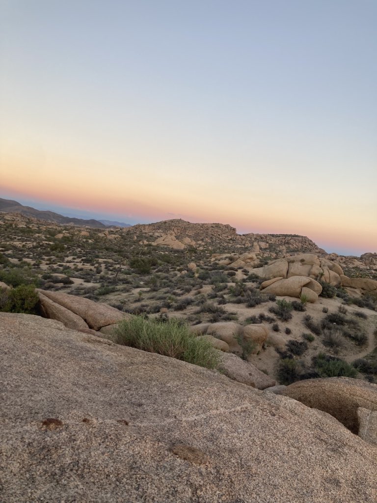 ロサンゼルス展で行きたい場所としてジョシュアツリーをお願いしていて，本当に広く大きくアメリカ大陸！で🇺🇸そこに持ち込む篠たまきさんからの「ひとひら怪談」私的によきでした📖水の気配のないガラガラ蛇やタランチュラ注意の地で皆様のしっとりとじっとりとしたお作品を✨素敵な色の配置もうっとり