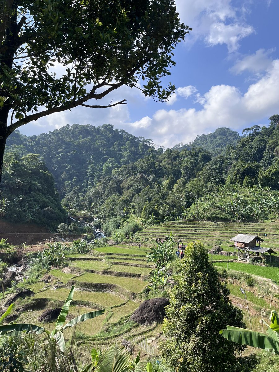 mendadak dangdut healing kecil2an