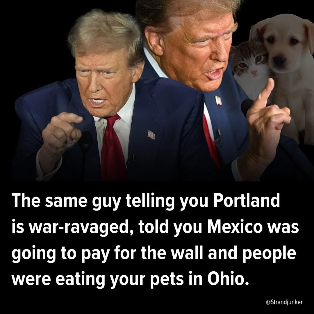 trump is always wrong (@carterconsult) on Twitter photo 