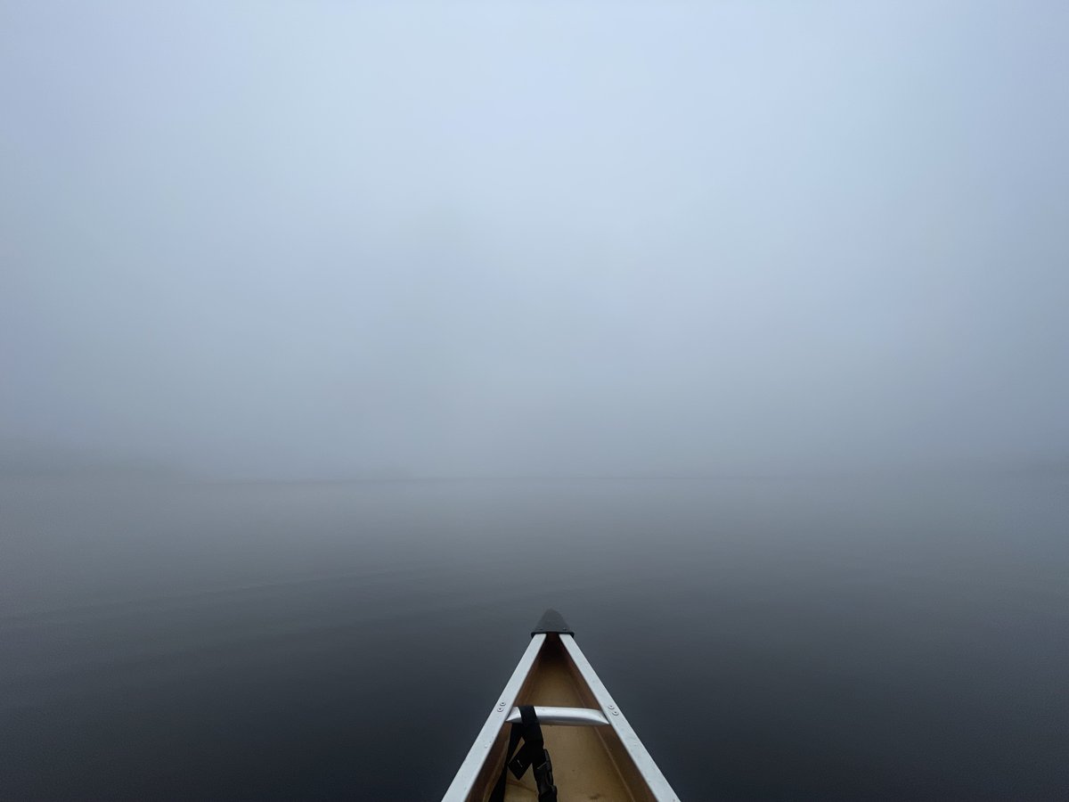 Algonquin on camera.