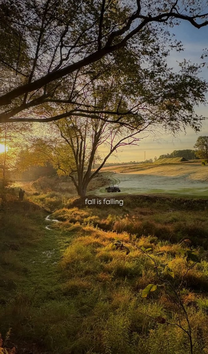 Aries_love417's tweet photo. Sunday morning ☕🧡
Autumn is here🍁🍂 #fallisfalling https://t.co/ZiqIOFawxG
