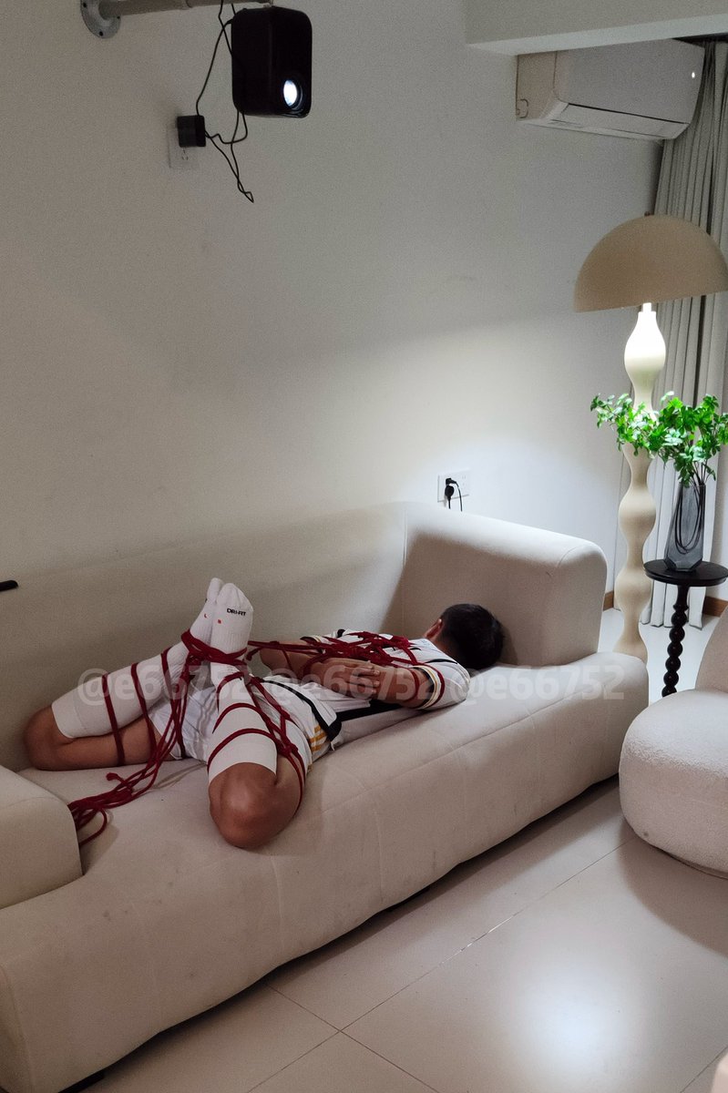 小向先生 tweet media